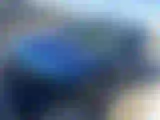 Vehicle Image- 2011 Ford Escape