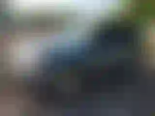 Vehicle Image- 2011 Ford Escape