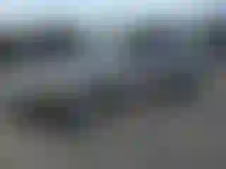 Vehicle Image- 2011 Ford Escape