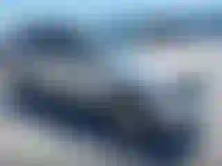 Vehicle Image- 2010 Ford Escape