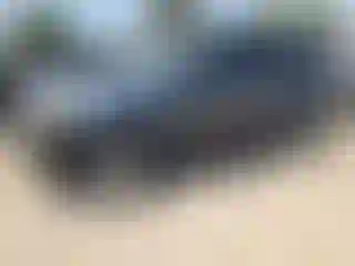 Vehicle Image- 2011 Ford Escape