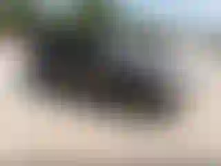 Vehicle Image- 2011 Ford Escape