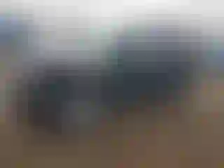 Vehicle Image- 2010 Ford Escape