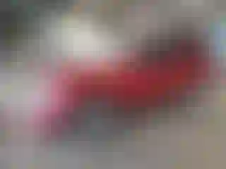 Vehicle Image- 2011 Ford Escape