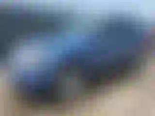 Vehicle Image- 2010 Ford Escape