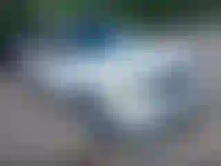 Vehicle Image- 2011 Ford Escape