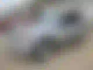 Vehicle Image- 2011 Ford Escape