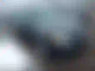 Vehicle Image- 2012 Ford Escape