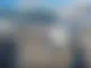 Vehicle Image- 2011 Ford Escape