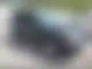 Vehicle Image- 2011 Ford Escape