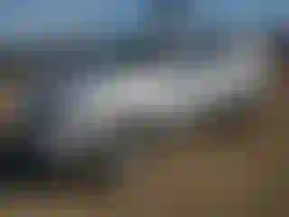 Vehicle Image- 2012 Ford Escape