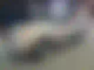 Vehicle Image- 2010 Ford Escape