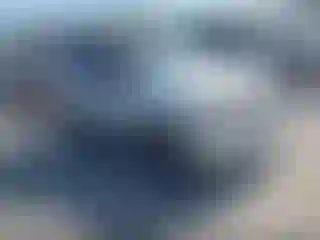 Vehicle Image- 2010 Ford Escape