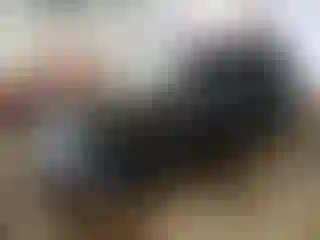 Vehicle Image- 2011 Ford Escape