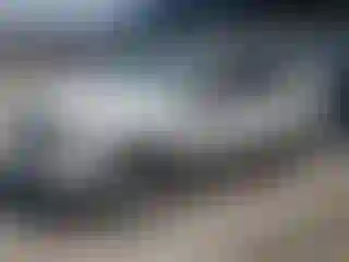 Vehicle Image- 2012 Ford Escape