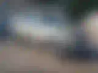 Vehicle Image- 2010 Ford Escape