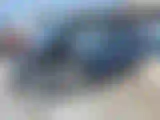 Vehicle Image- 2010 Ford Escape