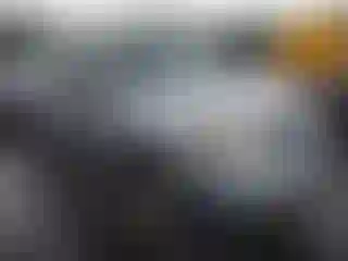 Vehicle Image- 2010 Ford Escape