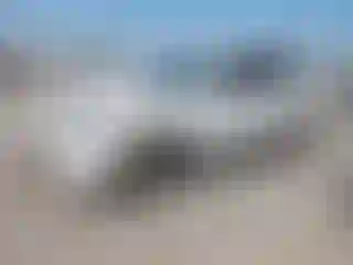 Vehicle Image- 2021 Ford Escape