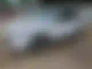 Vehicle Image- 2020 Ford Escape