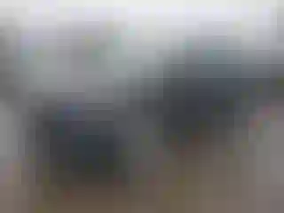 Vehicle Image- 2020 Ford Escape
