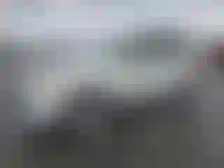 Vehicle Image- 2011 Ford Escape
