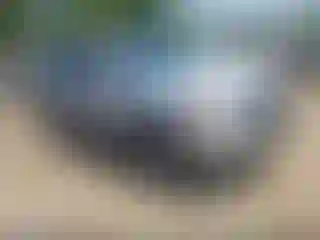 Vehicle Image- 2012 Ford Escape