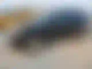 Vehicle Image- 2012 Ford Escape