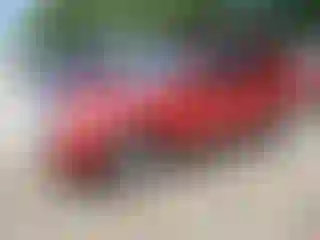 Vehicle Image- 2011 Ford Escape