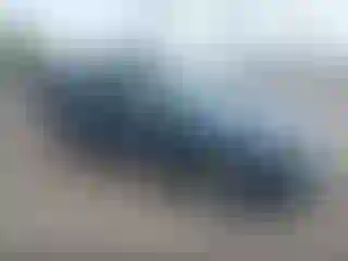 Vehicle Image- 2010 Ford Escape