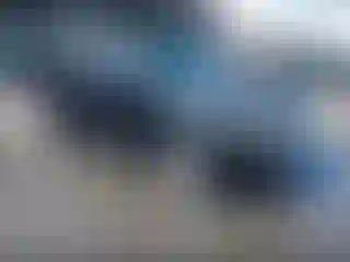 Vehicle Image- 2010 Ford Escape