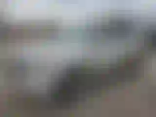 Vehicle Image- 2010 Ford Escape