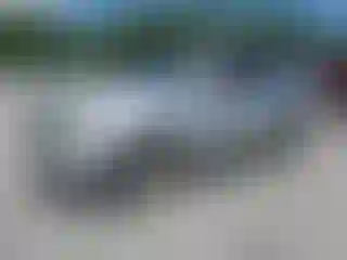 Vehicle Image- 2010 Ford Escape