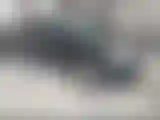 Vehicle Image- 2011 Ford Escape