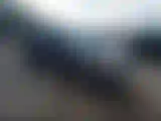 Vehicle Image- 2011 Ford Escape