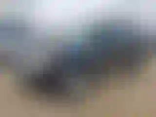 Vehicle Image- 2011 Ford Escape