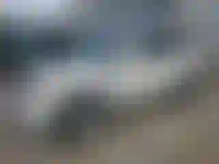 Vehicle Image- 2011 Ford Escape
