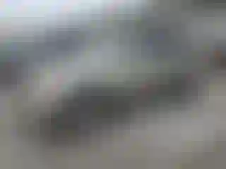 Vehicle Image- 2010 Ford Escape