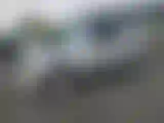 Vehicle Image- 2010 Ford Escape