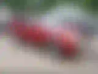 Vehicle Image- 2010 Ford Escape