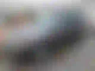 Vehicle Image- 2010 Ford Escape