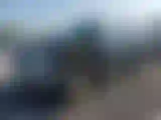 Vehicle Image- 2010 Ford Escape