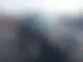 Vehicle Image- 2010 Ford Escape