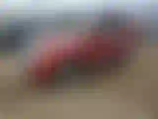 Vehicle Image- 2011 Ford Escape