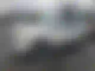 Vehicle Image- 2010 Ford Escape