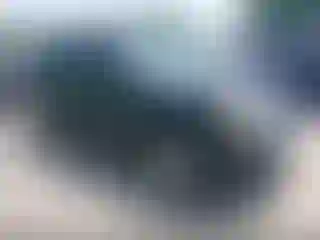 Vehicle Image- 2012 Ford Escape