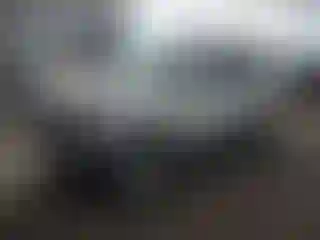 Vehicle Image- 2010 Ford Escape