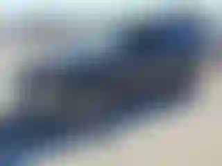Vehicle Image- 2010 Ford Escape