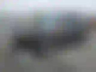 Vehicle Image- 2010 Ford Escape