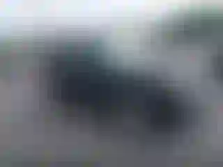 Vehicle Image- 2011 Ford Escape